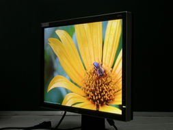 AOC 203Vw液晶显示器产品测评 90度旋转屏的革命性设计